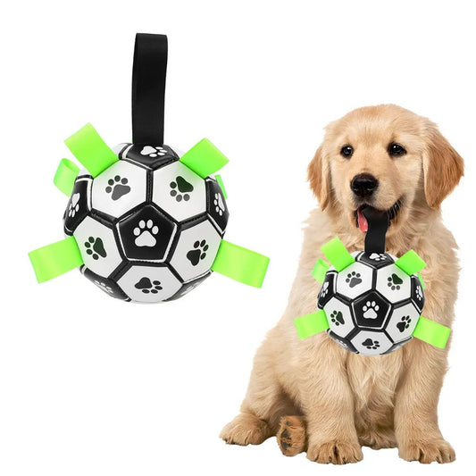 Jouet amusant aux multiples accroches:LK PETS FOOTBALL™ - Shoppycanin