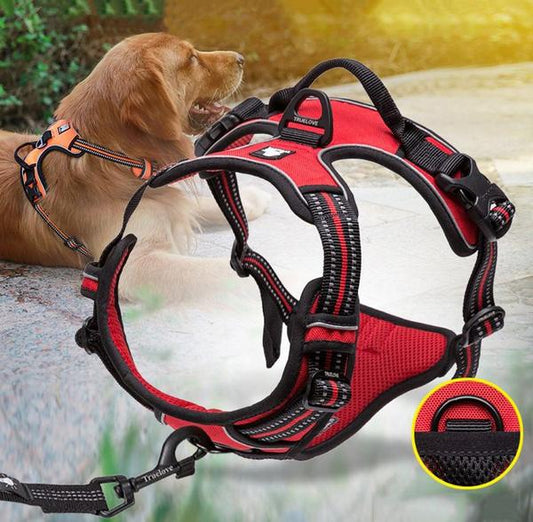 SafetyHarness™- Harnais pour animal de compagnie - Shoppycanin